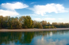 The River Danube
