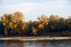 Autumn on the Danube